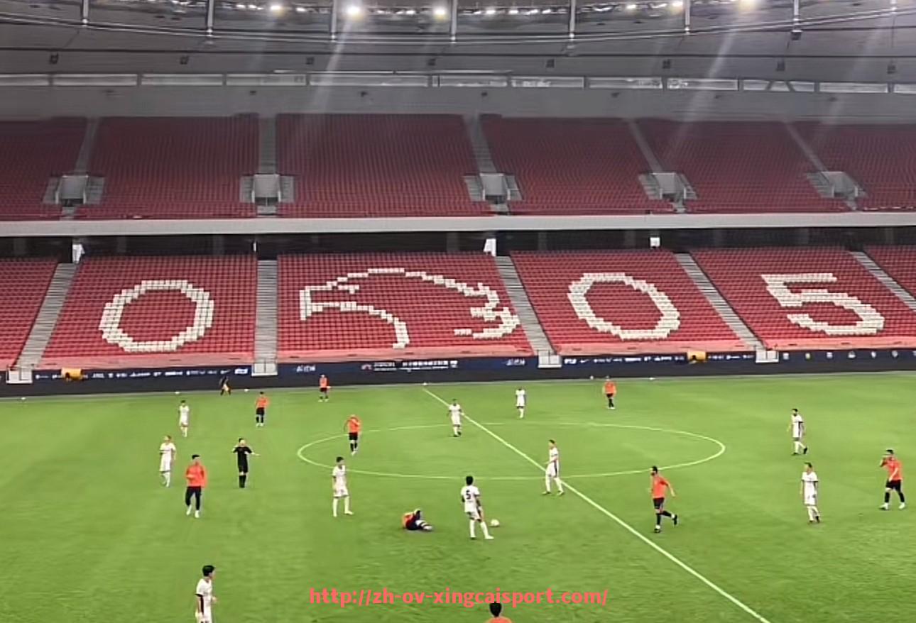 杏彩体育-法甲球队年终综合评估报告：战绩与发展并重